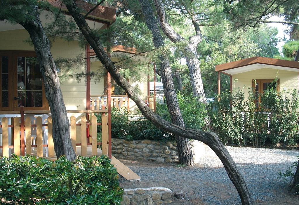 Le Esperidi Camping Ecoresort มารินา ดิ บิบโบนา ห้อง รูปภาพ