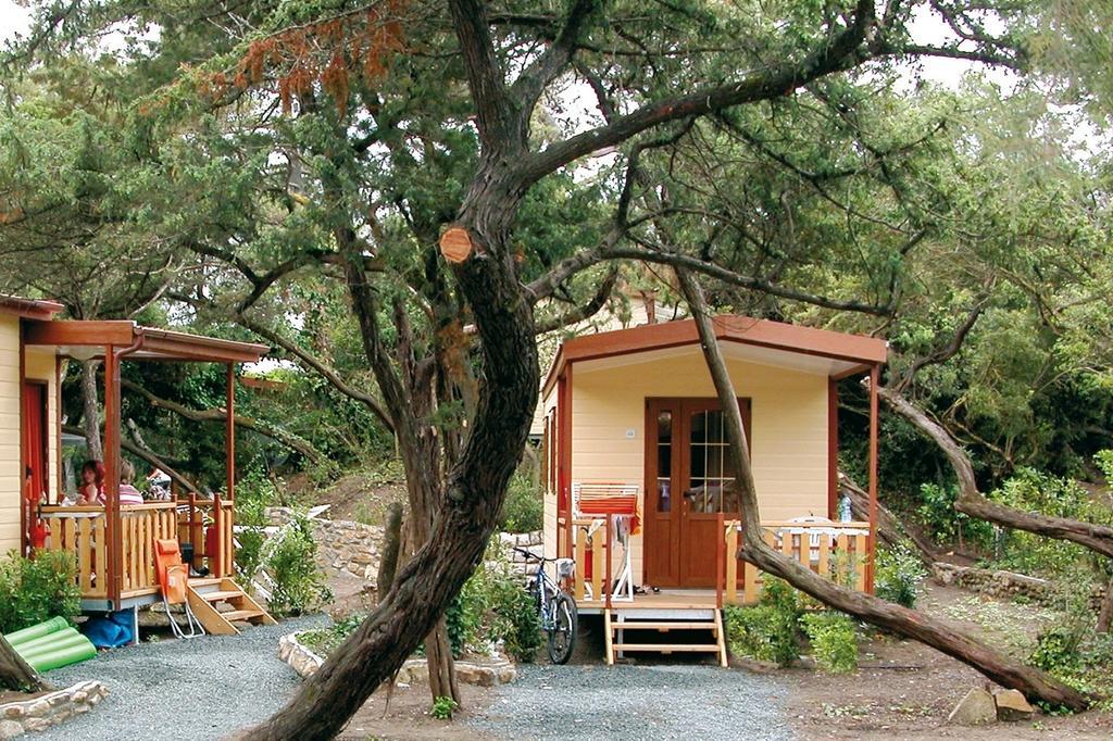 Le Esperidi Camping Ecoresort มารินา ดิ บิบโบนา ห้อง รูปภาพ