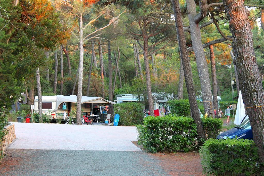 Le Esperidi Camping Ecoresort มารินา ดิ บิบโบนา ภายนอก รูปภาพ