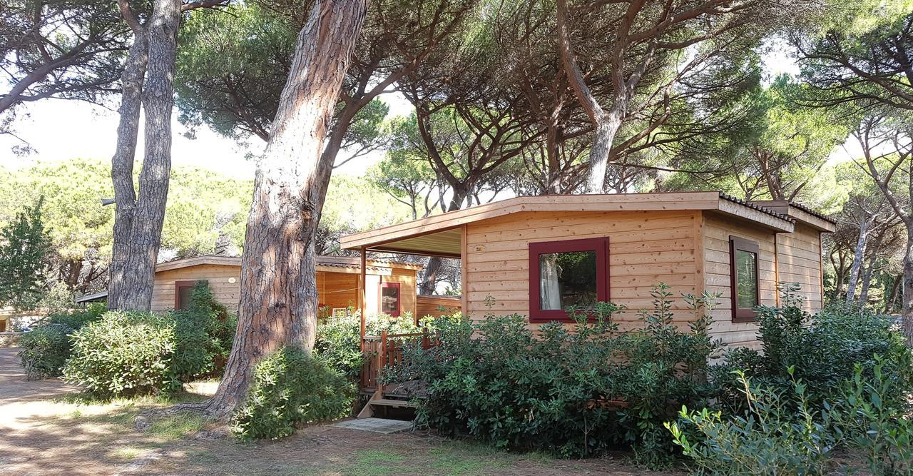 Le Esperidi Camping Ecoresort มารินา ดิ บิบโบนา ภายนอก รูปภาพ