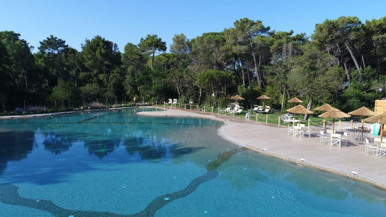 Le Esperidi Camping Ecoresort มารินา ดิ บิบโบนา ภายนอก รูปภาพ